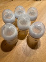 Avent Flaschen 125ml Schnullerbox Milchpulver Köln - Rodenkirchen Vorschau