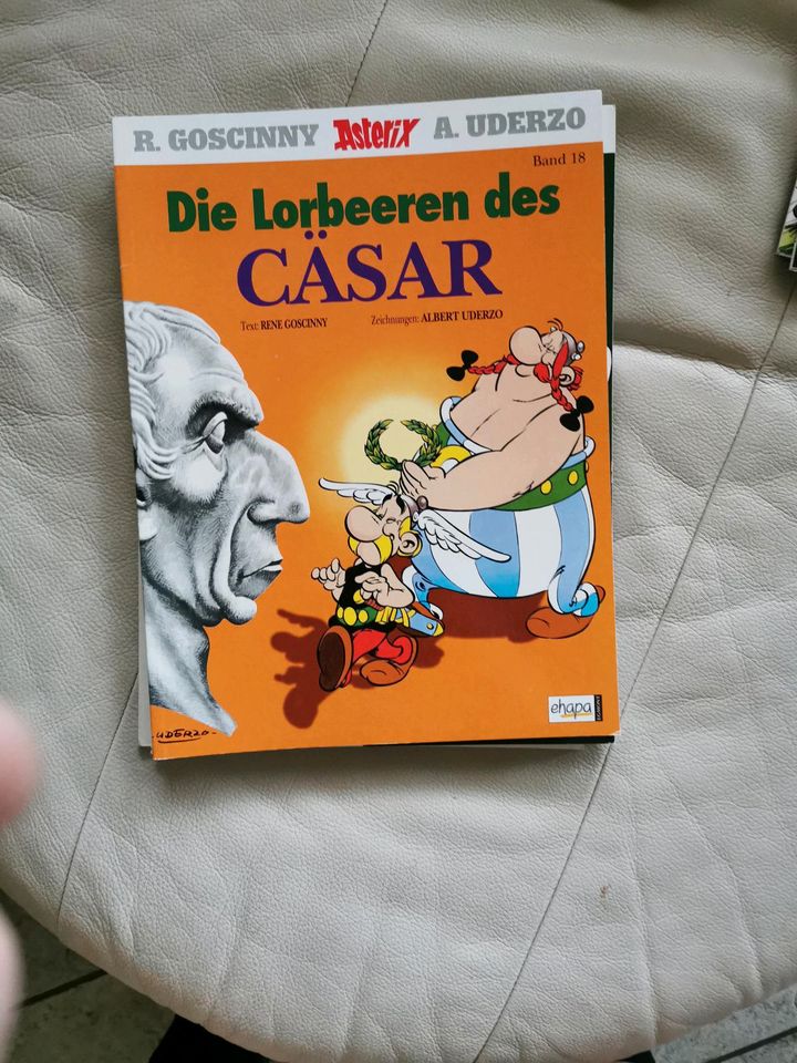 Asterix Hefte in Gaimersheim