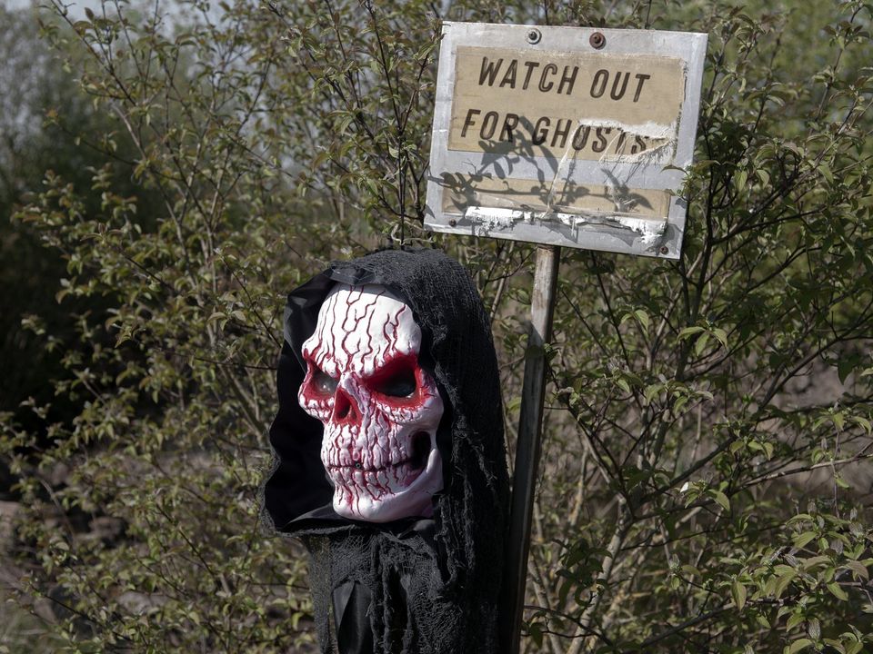 Halloween Deko - NEU - Totenkopf mit Blut (83316107) in Bietigheim-Bissingen