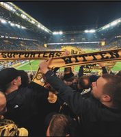 SUCHE 2 Stk BvB Dauerkarte Nordrhein-Westfalen - Witten Vorschau