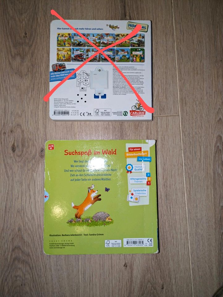 Kinderbücher Wimmelbuch Fensterbuch in Glauchau