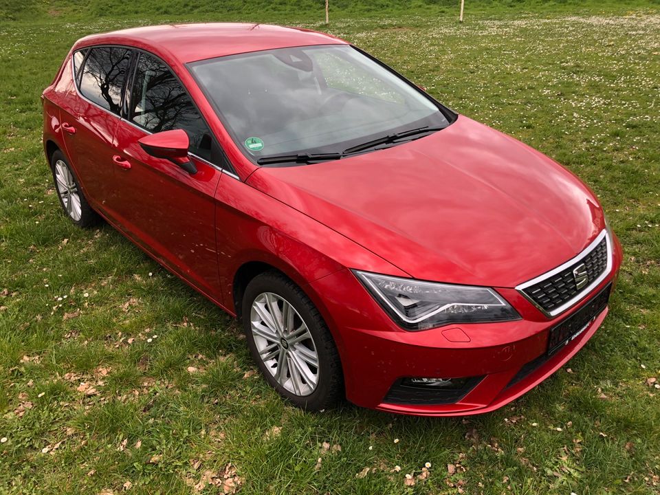 Seat Leon Xcellence in Taucha