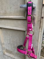 Mustang Pony Halfter Hot Pink Rheinland-Pfalz - Otterberg Vorschau