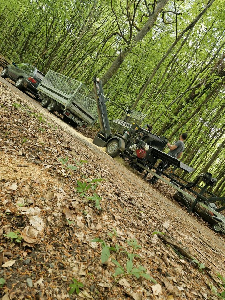 Brennholz Lohnspalten Sägespalten in Dornburg