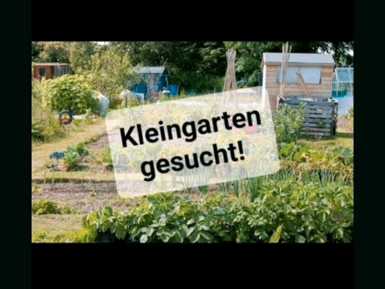 Suche Schrebergarten/Obstbaumgarten/Wochenendgrundstück/Schuppen in Königsbronn