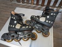 Rollerscater Sachsen - Crimmitschau Vorschau