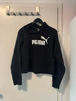 Puma Hoodie zu verkaufen Harburg - Hamburg Neugraben Vorschau