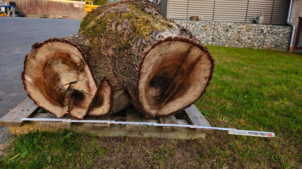 Walnuss-Stamm Holz Walnussbaum in Neureichenau