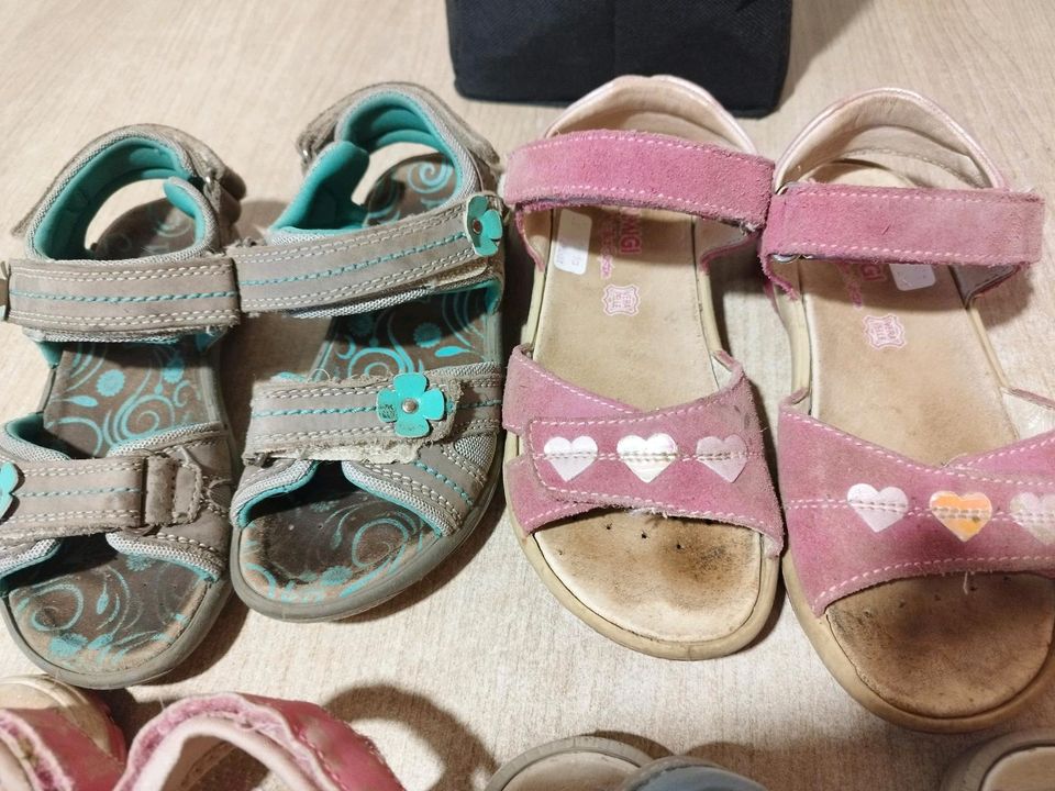 Sandalen Sandaletten 25/28/30/32 Primigi Elefanten Bären Schuhe in Neu Gülze