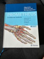 Prometheus Atlas (Anatomie & Bewegungssystem) Bayern - Penzing Vorschau