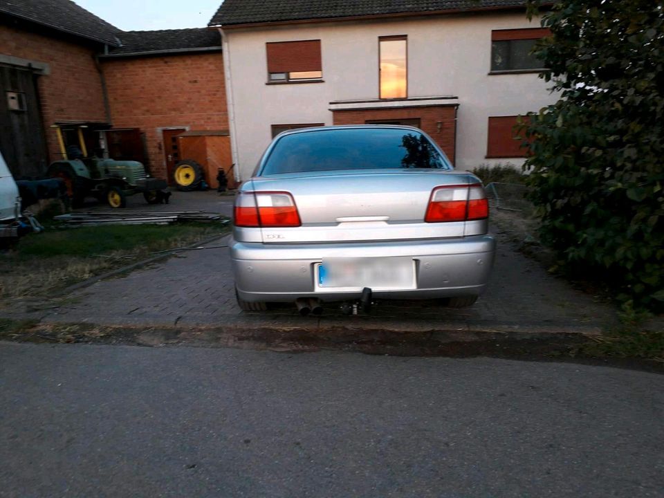 Opel Omega 2.6 V6 in Waldeck