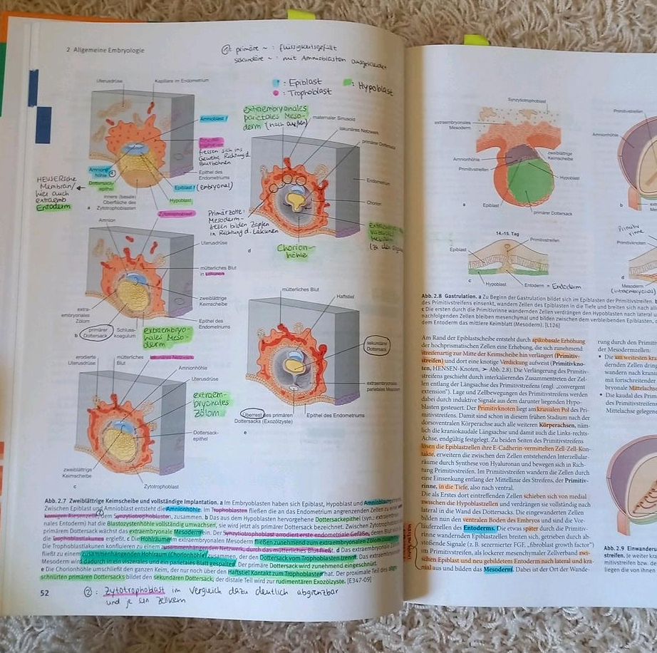 Sobotta "Anatomie - Das Lehrbuch" 1. Auflage in Geist