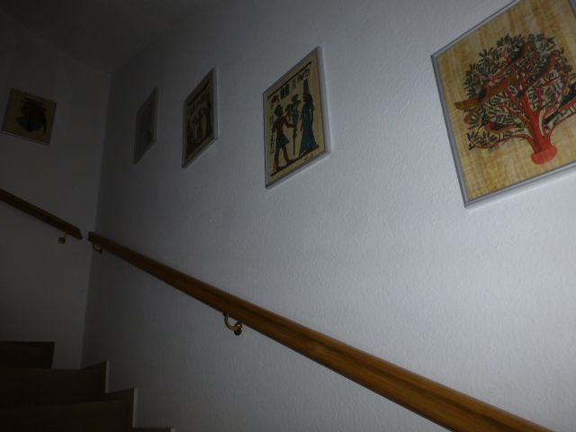 6 Papyrusbilder , gerahmt in 31 x 41 cm in Neubrandenburg