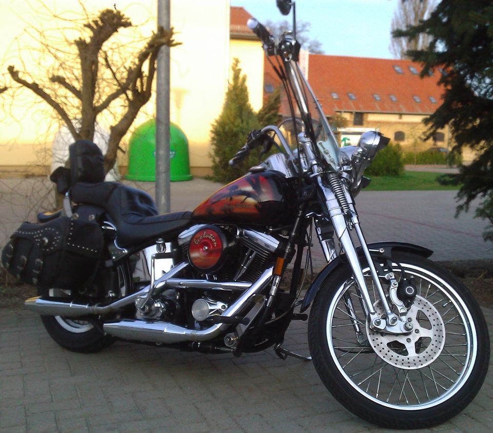 Harley Davidson Softail mit Springergabel in Berlin