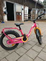 Pegasus Kinderfahrrad Bayern - Gammelsdorf Vorschau