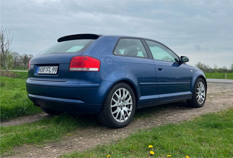 Audi A3 8P 2.0 TDI in Südbrookmerland