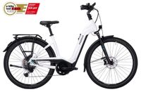 Pegasus Premio EVO 11 750 WH NEU RH50 Ebike E-Bike UVP € 4249,- Nordrhein-Westfalen - Iserlohn Vorschau