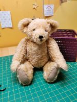 Selbst genähter Teddybär Hessen - Heusenstamm Vorschau