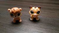 Laufende Littlest Pet Shop Figuren / Tierchen Sachsen - Breitenbrunn Vorschau