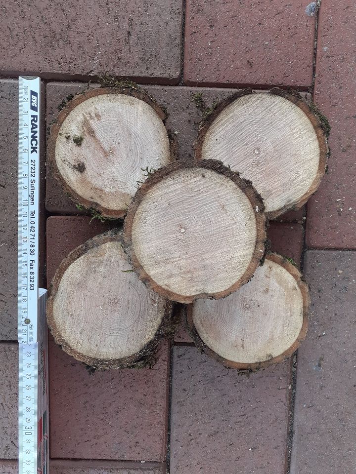 10 x Baumscheibe Deko Eiche ca 10 cm Holz massiv in Westoverledingen