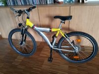 NSU 26 Zoll Mountainbike (mit Lichtanlage) Berlin - Mitte Vorschau