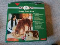 Doggy Brain Train- zwei Spiele fürs Hundetraining Niedersachsen - Verden Vorschau