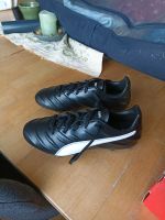 Puma  King Pro 21 FG Stollenschuhe Niedersachsen - Bramsche Vorschau