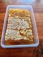 Bienenwabe - Wabenhonig Bayern - Straubing Vorschau