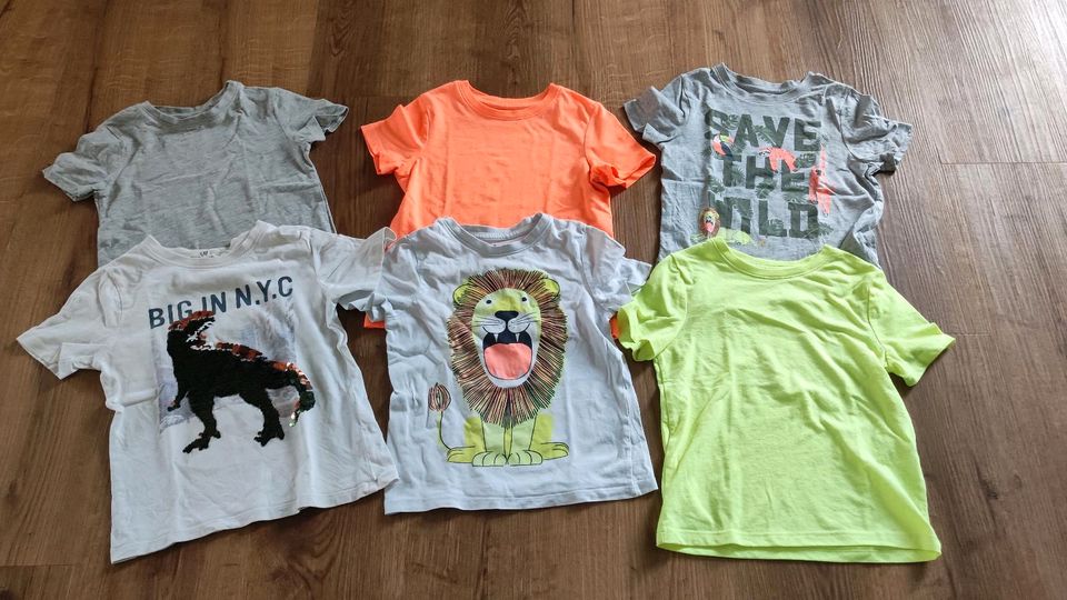 Set 6x T-Shirts (Dino, Löwe, Dschungel) in Gr. 110 in Bannewitz