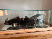 Pontiac Trans Am 1980 Turbo Beleuchtet in Vitrine 1:8 Bayern - Dörfles-Esbach Vorschau