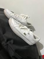 Lacoste sneaker 42 Nordrhein-Westfalen - Marl Vorschau