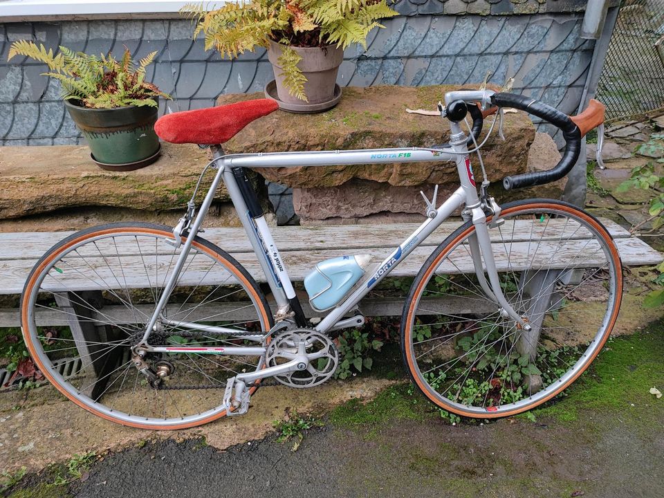 Rennrad Norta F16 Aero Shimano 600 ax in Medebach