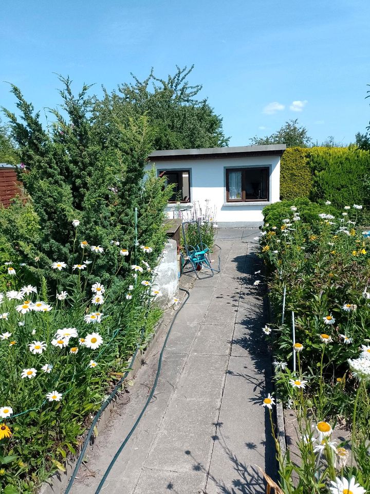 Pachtgarten in Dessau Roßlau abzugeben in SachsenAnhalt Dessau