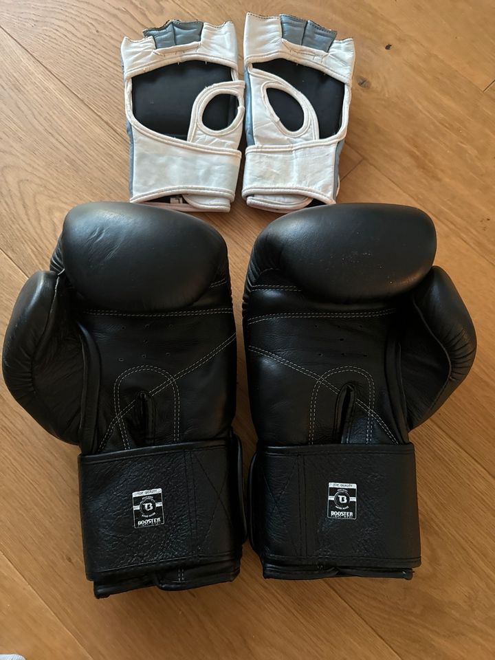 Boxhandschuhe Booster in München