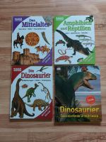 Verschiedene "Wissen Kompakt" Bücher und Dinosaurier Faszi... Nordrhein-Westfalen - Rödinghausen Vorschau