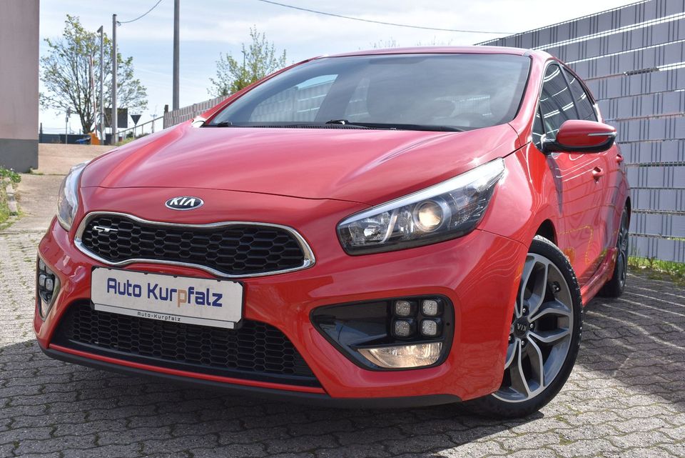 Kia Ceed  GT LINE CHALLENGE 1.HAND LED in Ludwigshafen