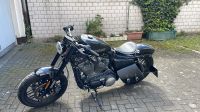 Harley-Davidson Roadster XL1200 Köln - Porz Vorschau