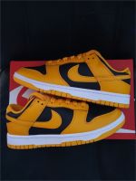 Nike Dunk Low Goldenrod || EU 40 Hessen - Offenbach Vorschau