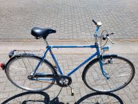 28 Jaguar schickes Metallic Herrenfahrrad Sachsen-Anhalt - Dahlenwarsleben Vorschau