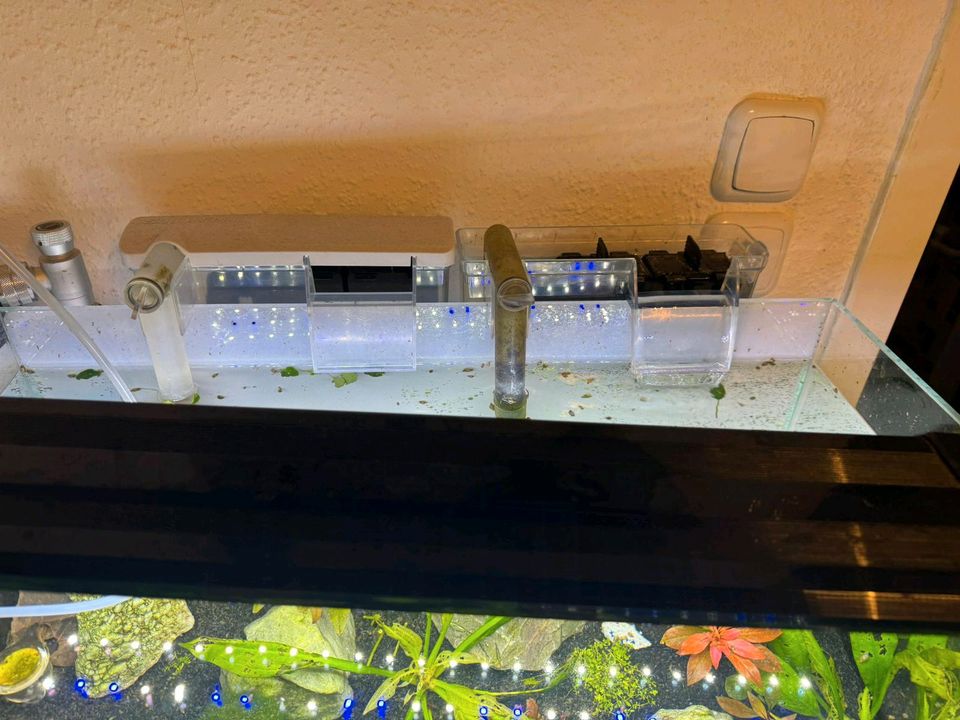Weißglas Aquarium komplett in Essen