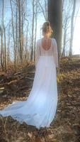 Brautkleid/ Hochzeitskleid / weisses Kleid / Kostüm Sachsen - Lichtenau Vorschau