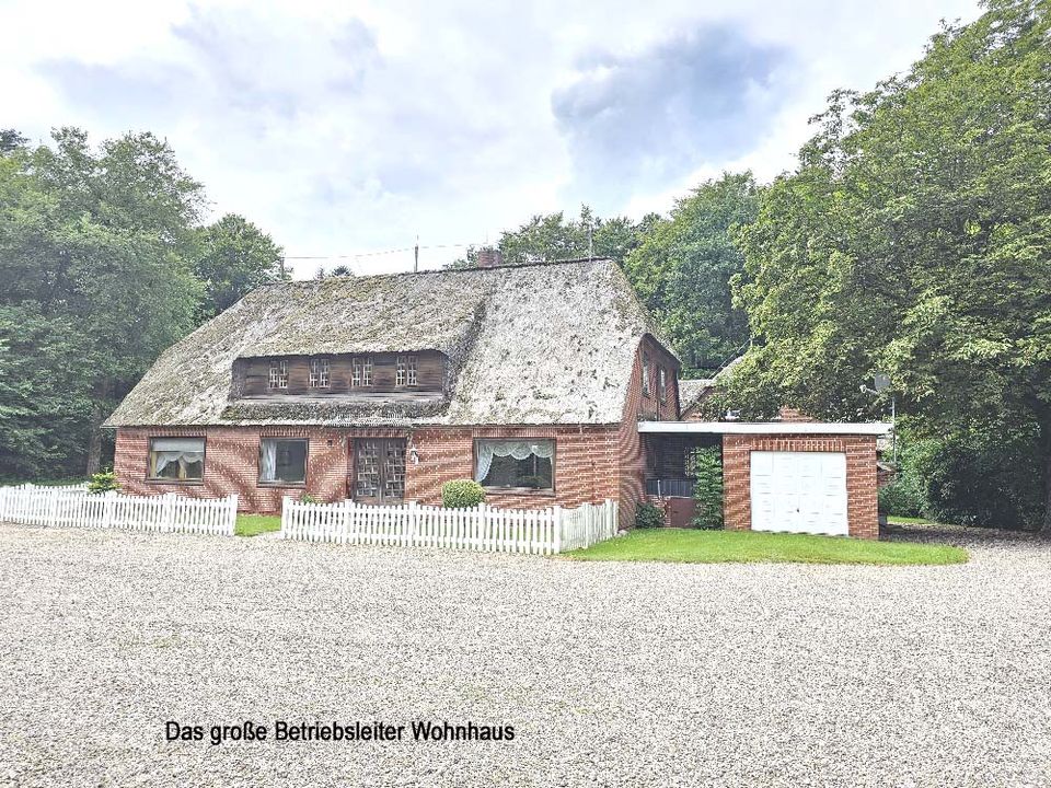 Stilvolle ehemalige Gaststätte unter Reet am Waldrand mit historischem Charme in Westre