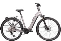 Hercules Edison Comp I-12 E-Bike Neu Beige RH 49 + Winterspecial Bayern - Altomünster Vorschau