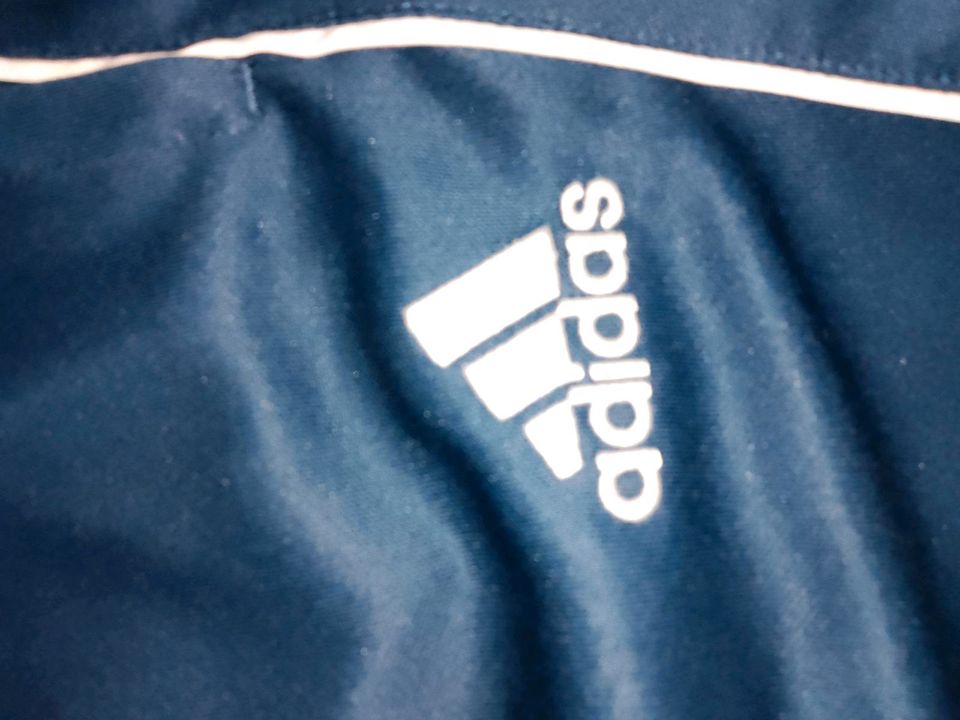 Adidas Jogginghose Jogger Hose blau XL Herren in Aurich
