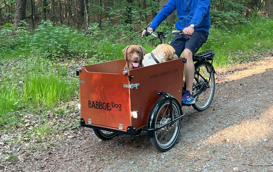 Babboe Dog-E Lastenrad Bakfiets mit 450 Wh Akku, nur 158 km in Hagen im Bremischen