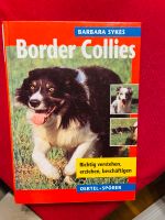 Hunde Traingsbuch Border Collies Niedersachsen - Oldenburg Vorschau