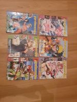 Animania 14 Stück, 3 DVDs und eine Koneko Stuttgart - Stammheim Vorschau