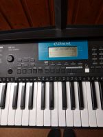 c.giant keyboard m211k mit Ständer Nordrhein-Westfalen - Meschede Vorschau