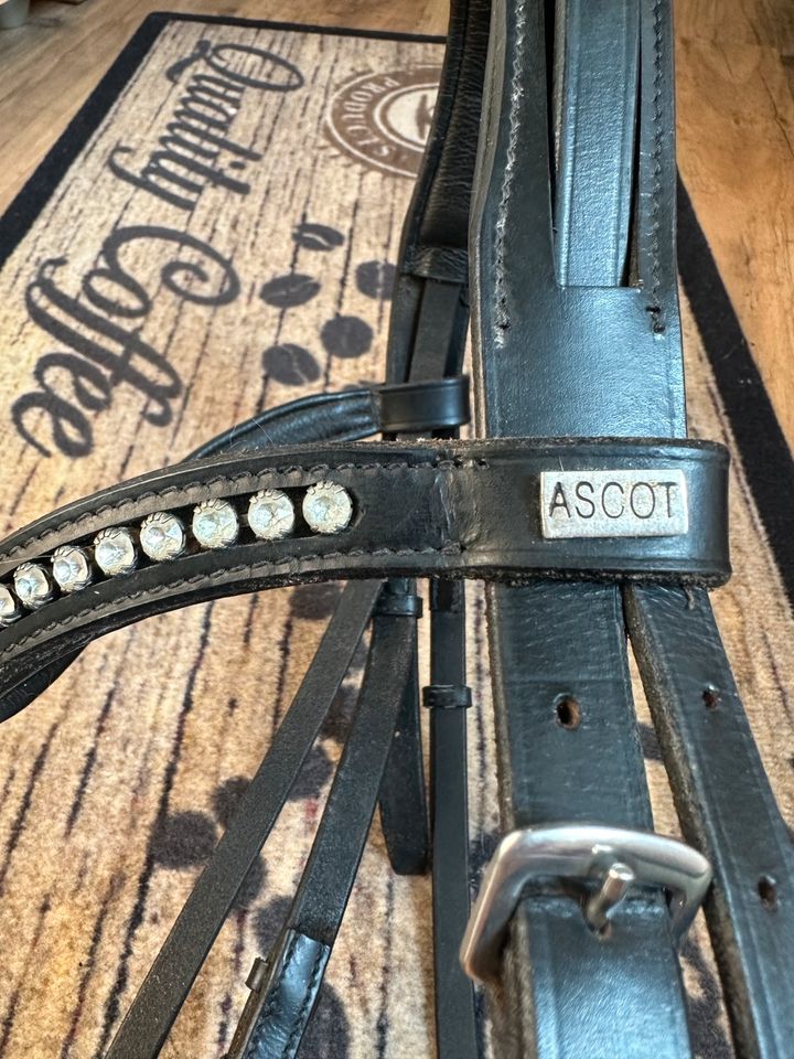 Ascot Trense VB schwarz Strass in Hardegsen