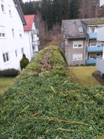 Grünschnitt Hecke schneiden Wurzel entfernen Gartenpflege Hessen - Bad Soden-Salmünster Vorschau